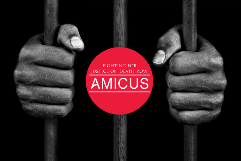 Amicus Logo With Hands