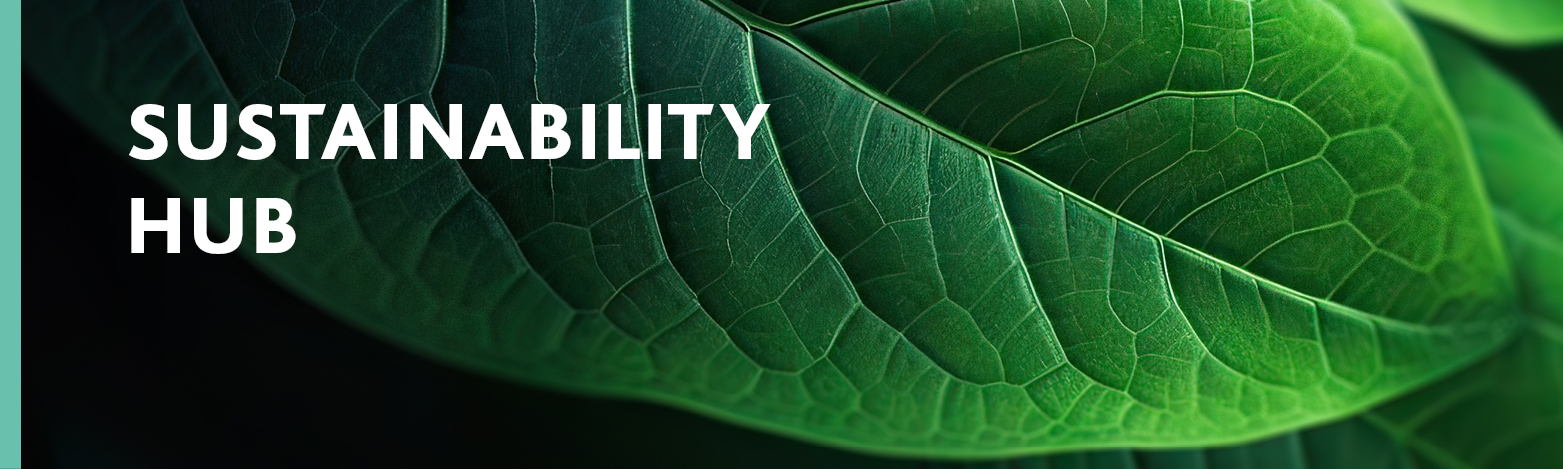 Sustainability Hub Banner ESG Page January 2024