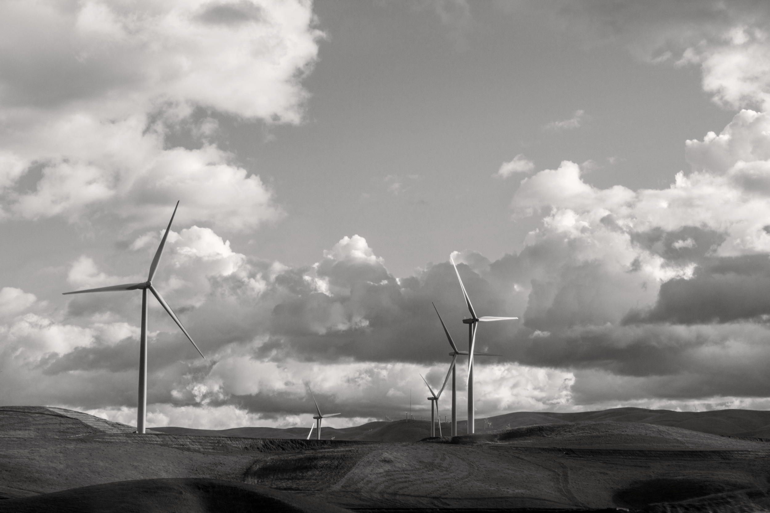 Environmental regulation and sustainability
