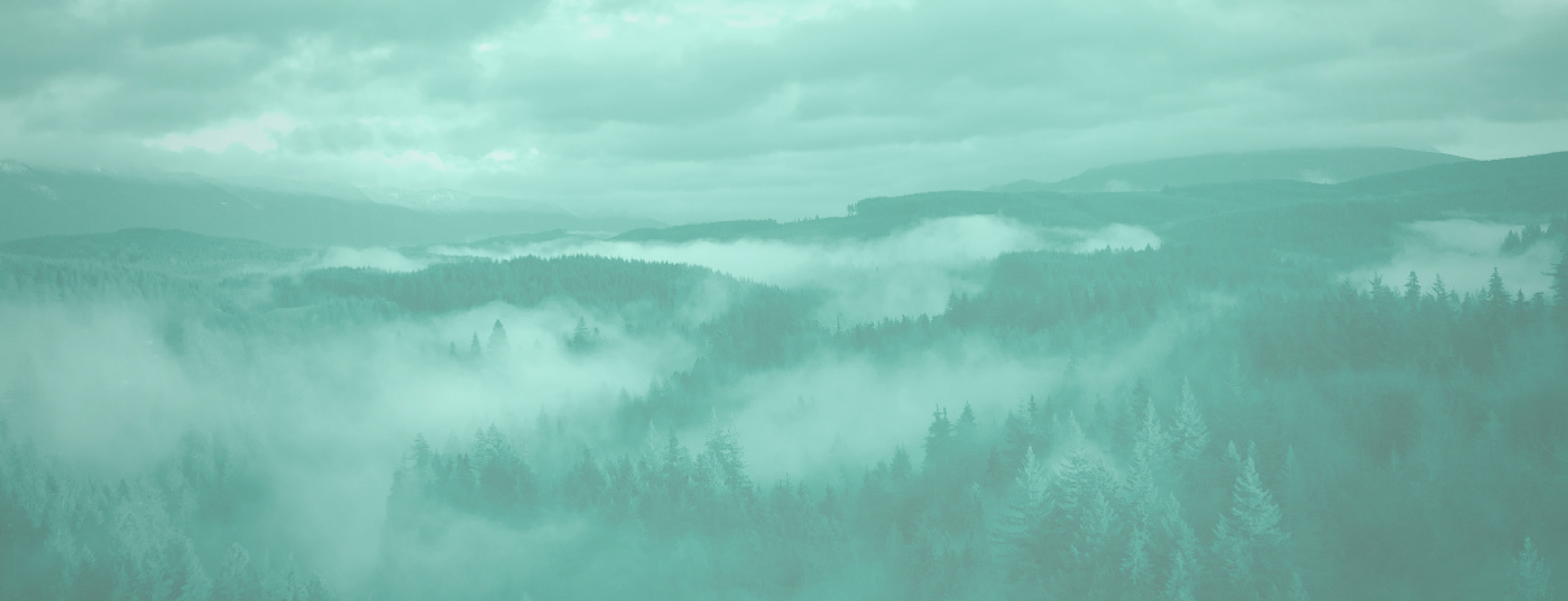 1414879 Horizon Scanning 2024 Greenwashing Web Banner Static
