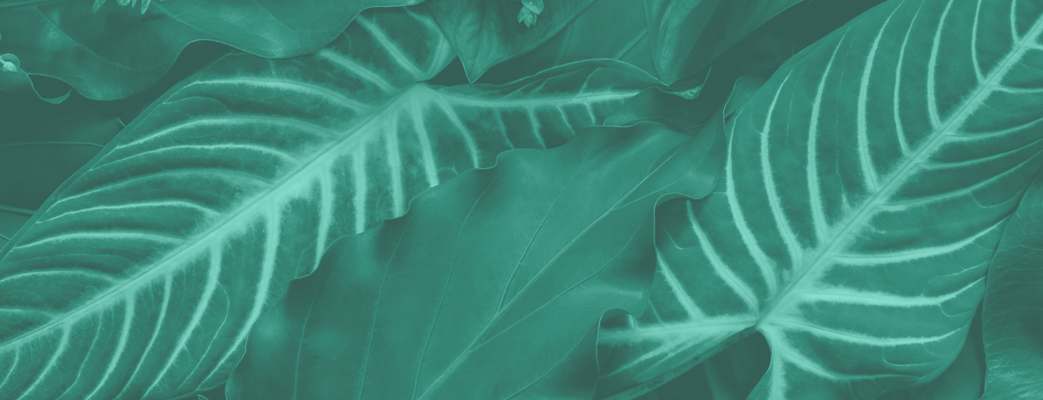 3262049 Esg Greenwashing Image 04
