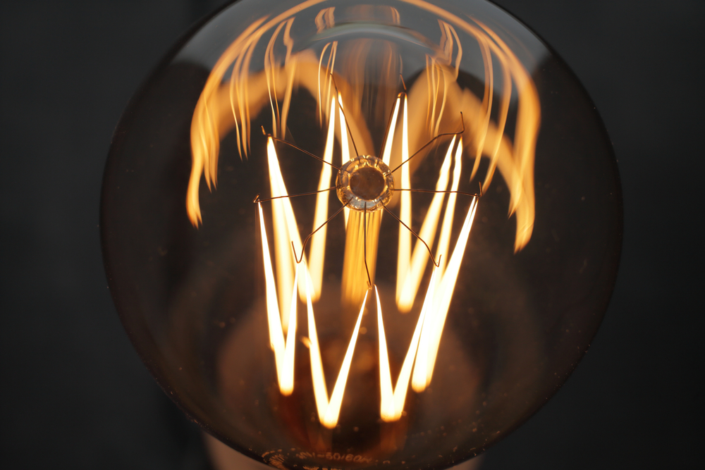 Shutterstock 1774812605